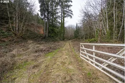 Kenady Lane Lot 401, Cottage Grove, OR 97424 - Photo 4