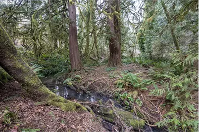Kenady Lane Lot 401, Cottage Grove, OR 97424 - Photo 18