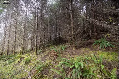 Kenady Lane Lot 401, Cottage Grove, OR 97424 - Photo 36