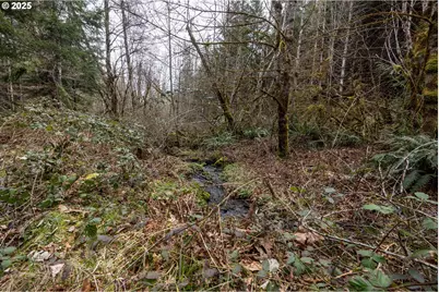 Kenady Lane Lot 401, Cottage Grove, OR 97424 - Photo 26