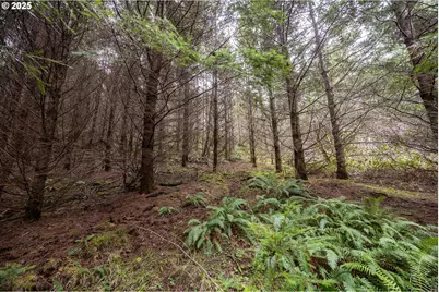 Kenady Lane Lot 401, Cottage Grove, OR 97424 - Photo 34