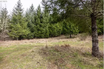 Kenady Lane Lot 401, Cottage Grove, OR 97424 - Photo 38