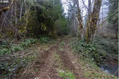 Kenady Lane Lot 401, Cottage Grove, OR 97424 - Photo 24