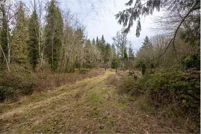 Kenady Lane Lot 401, Cottage Grove, OR 97424 - Photo 16