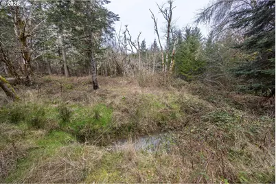 Kenady Lane Lot 401, Cottage Grove, OR 97424 - Photo 32