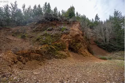 Kenady Lane Lot 401, Cottage Grove, OR 97424 - Photo 8