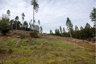 Kenady Lane Lot 401, Cottage Grove, OR 97424 - Photo 22