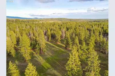 0 Lot 8 Greyback Mtn Rd, Goldendale, WA 98620 - Photo 1