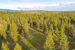 0 Lot 8 Greyback Mtn Rd, Goldendale, WA 98620 - Photo 1