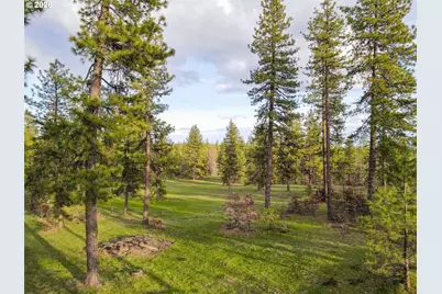 0 Lot 8 Greyback Mtn Rd, Goldendale, WA 98620 - Photo 2
