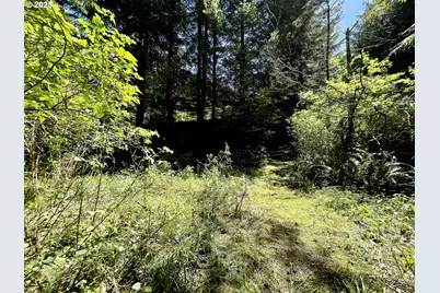 95629 Cape Ferrelo Rd, Brookings, OR 97415 - Photo 14