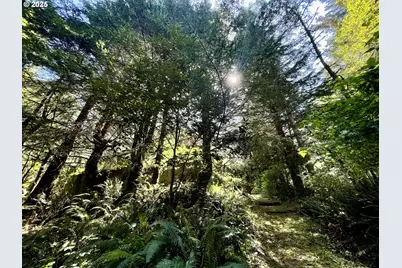 95629 Cape Ferrelo Rd, Brookings, OR 97415 - Photo 44