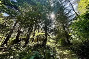 95629 Cape Ferrelo Rd, Brookings, OR 97415 - Photo 44