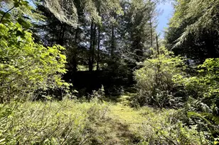 95629 Cape Ferrelo Rd, Brookings, OR 97415 - Photo 8