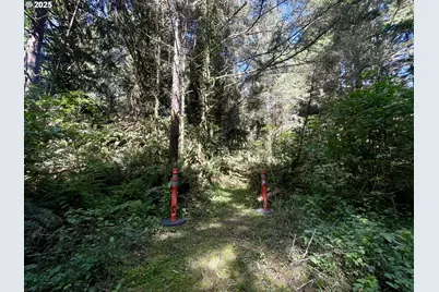 95629 Cape Ferrelo Rd, Brookings, OR 97415 - Photo 42