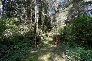 95629 Cape Ferrelo Rd, Brookings, OR 97415 - Photo 42