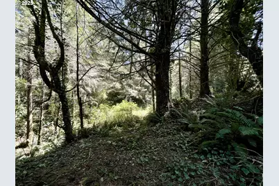 95629 Cape Ferrelo Rd, Brookings, OR 97415 - Photo 12