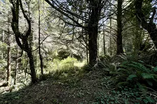 95629 Cape Ferrelo Rd, Brookings, OR 97415 - Photo 12