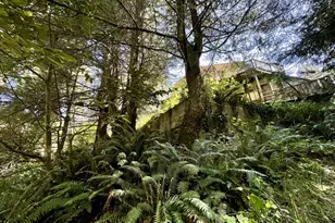 95629 Cape Ferrelo Rd, Brookings, OR 97415 - Photo 6