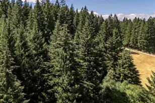 25420 NW Pumpkin Ridge Rd, North Plains, OR 97133 - Photo 32