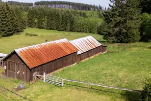 25420 NW Pumpkin Ridge Rd, North Plains, OR 97133 - Photo 34