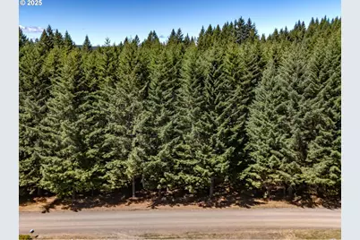 25420 NW Pumpkin Ridge Rd, North Plains, OR 97133 - Photo 34