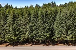 25420 NW Pumpkin Ridge Rd, North Plains, OR 97133 - Photo 34