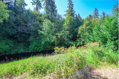 90450 Deadwood Creek Rd, Deadwood, OR 97430 - Photo 16