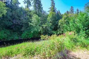 90450 Deadwood Creek Rd, Deadwood, OR 97430 - Photo 16