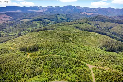 5 Parpala Rd #5, Naselle, WA 98638 - Photo 2