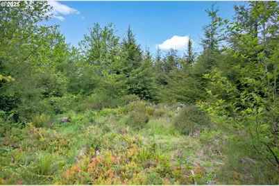 5 Parpala Rd #5, Naselle, WA 98638 - Photo 12