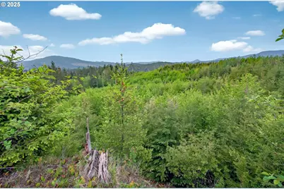 5 Parpala Rd #5, Naselle, WA 98638 - Photo 16