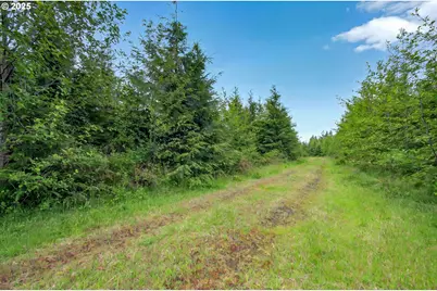 5 Parpala Rd #5, Naselle, WA 98638 - Photo 10