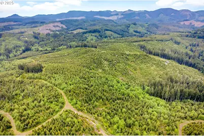 5 Parpala Rd #5, Naselle, WA 98638 - Photo 18