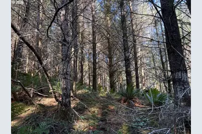 000 Alsea Hwy, Alsea, OR 97324 - Photo 26