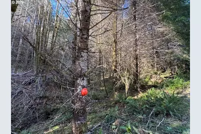 000 Alsea Hwy, Alsea, OR 97324 - Photo 22