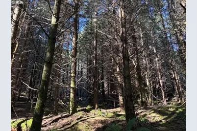 000 Alsea Hwy, Alsea, OR 97324 - Photo 4