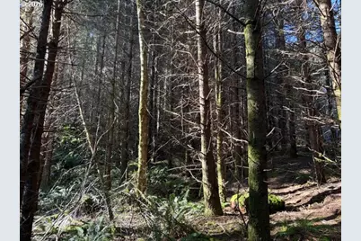 000 Alsea Hwy, Alsea, OR 97324 - Photo 30