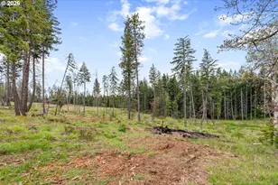 16 Snag Rd, Lyle, WA 98635 - Photo 42