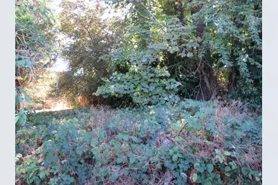 1141 NE 9th St, McMinnville, OR 97128 - Photo 4