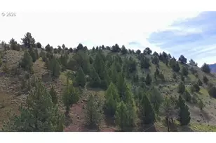 27823 Muse Rd, Mount Vernon, OR 97865 - Photo 12