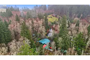 40408 NE Cedar Ridge Rd, Amboy, WA 98601 - Photo 38