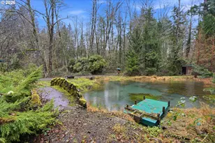 40408 NE Cedar Ridge Rd, Amboy, WA 98601 - Photo 6