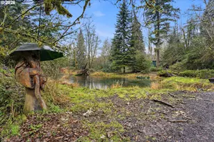 40408 NE Cedar Ridge Rd, Amboy, WA 98601 - Photo 4