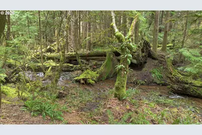 40401 NE Miller Rd, Washougal, WA 98671 - Photo 42