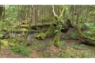 40401 NE Miller Rd, Washougal, WA 98671 - Photo 42