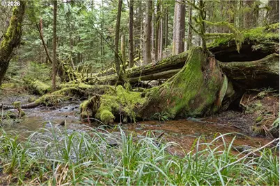 40401 NE Miller Rd, Washougal, WA 98671 - Photo 40