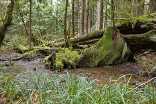 40401 NE Miller Rd, Washougal, WA 98671 - Photo 40