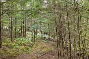 40401 NE Miller Rd, Washougal, WA 98671 - Photo 42
