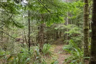 40401 NE Miller Rd, Washougal, WA 98671 - Photo 36